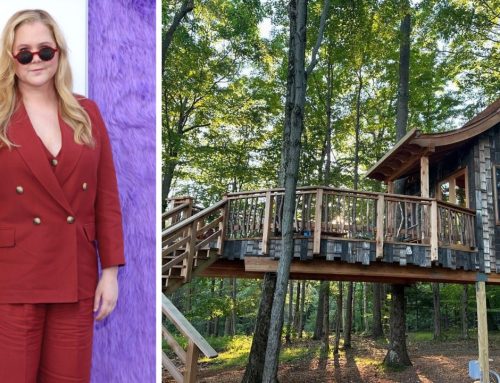 Amy Schumer Has Luxury $300,000 Custom Treehouse Built in Her Backyard—See Inside Her ‘Dream’ Space